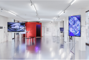 Kunst-Dokumentation.com, Manuel Carreon Lopez, Belvedere, Wien