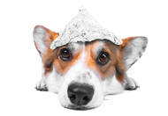 Copyright (c) 2020 Masarik/Shutterstock. Copyright (c) 2020 Masarik/Shutterstock.
